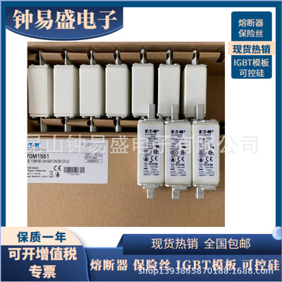 巴斯曼熔断器170M2681 170M2682 170M2683 170M2684 170M2685现货