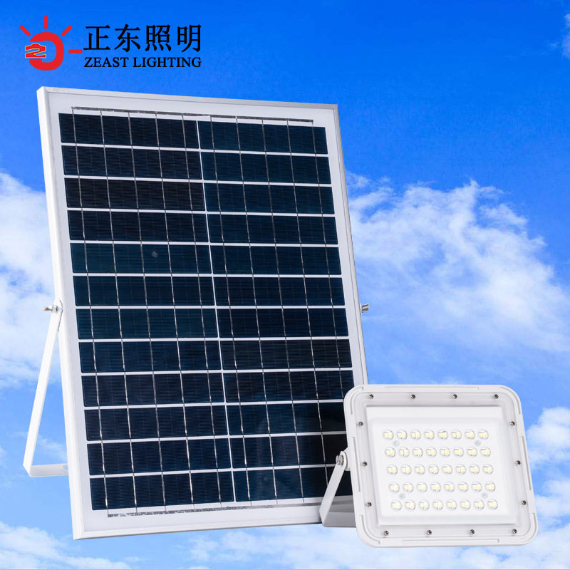分体式太阳能投光灯户外照明农村家用庭院灯太阳能墙壁灯厂家直销