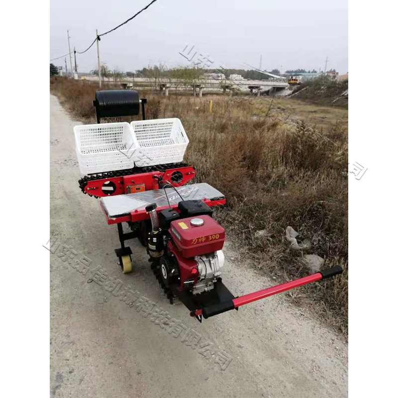 大葱移植栽培机械 农场农田乘坐式移栽设备 双行悬挂式大葱种植机