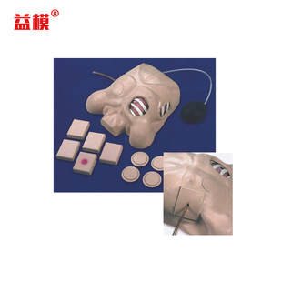 胸腔穿刺引流模型 液胸气胸闭式引流模具 液胸插管引流