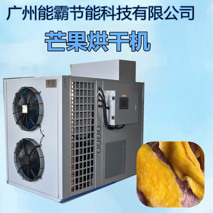 厂家直销芒果烘干机 广西优质除湿芒果烘干机 小型芒果烘干机