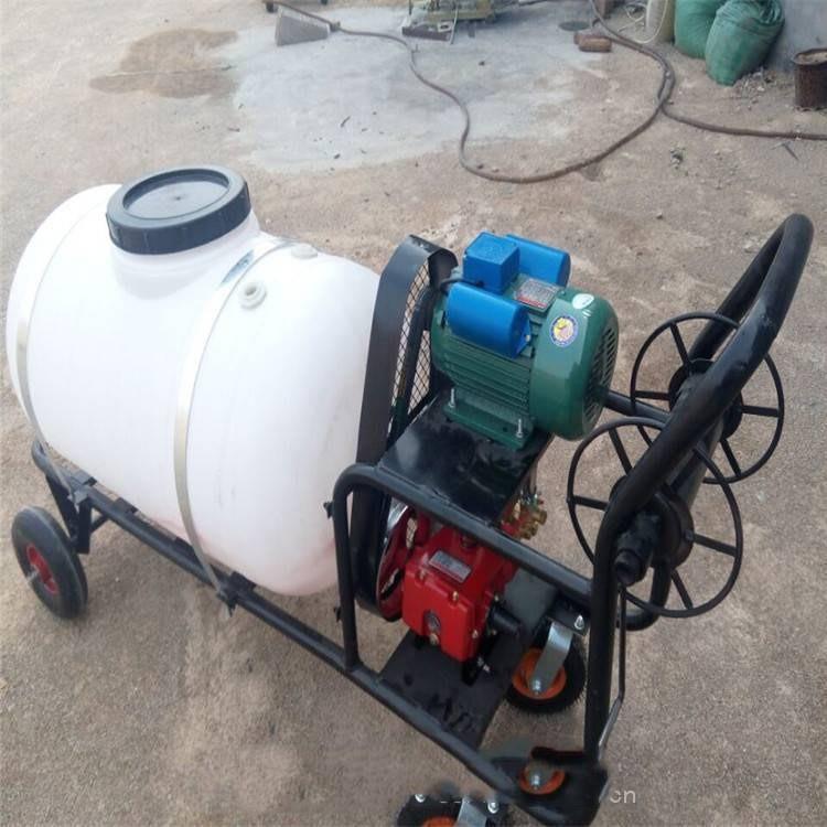 手推式打药机 农用电动喷雾器 防疫消毒打药车高压喷雾机