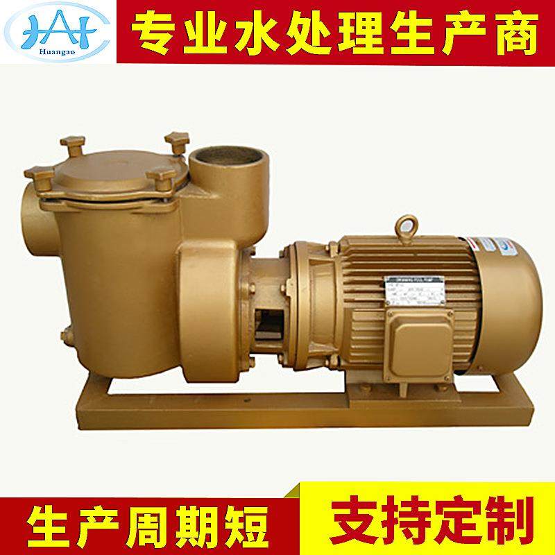 出售 BP5050游泳池过滤铜泵 循环过滤水泵 泳池设备 水处理设备