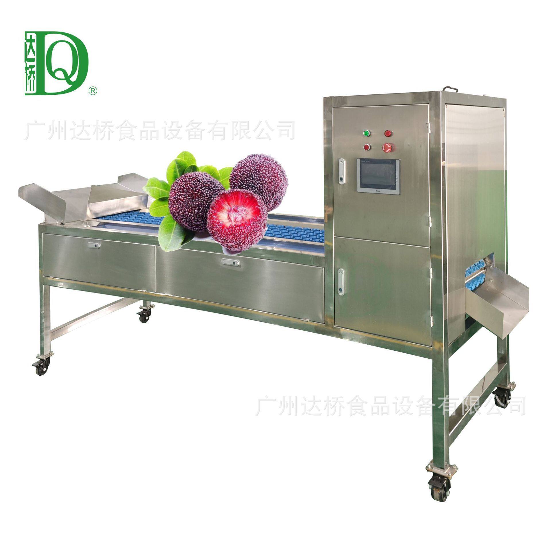 DQ达桥源头工厂工业水果型杨梅去核机商用杨梅加工解决方案220V