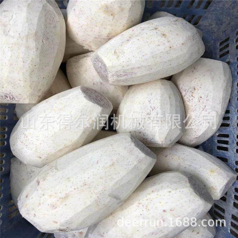 福建槟榔芋头清洗油炸生产线芋头深加工设备小型芋头条油炸机
