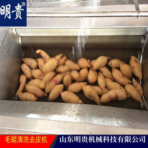 红薯毛辊清洗去皮机 根茎类毛刷磨皮机器 明贵土豆地瓜自动剥皮机