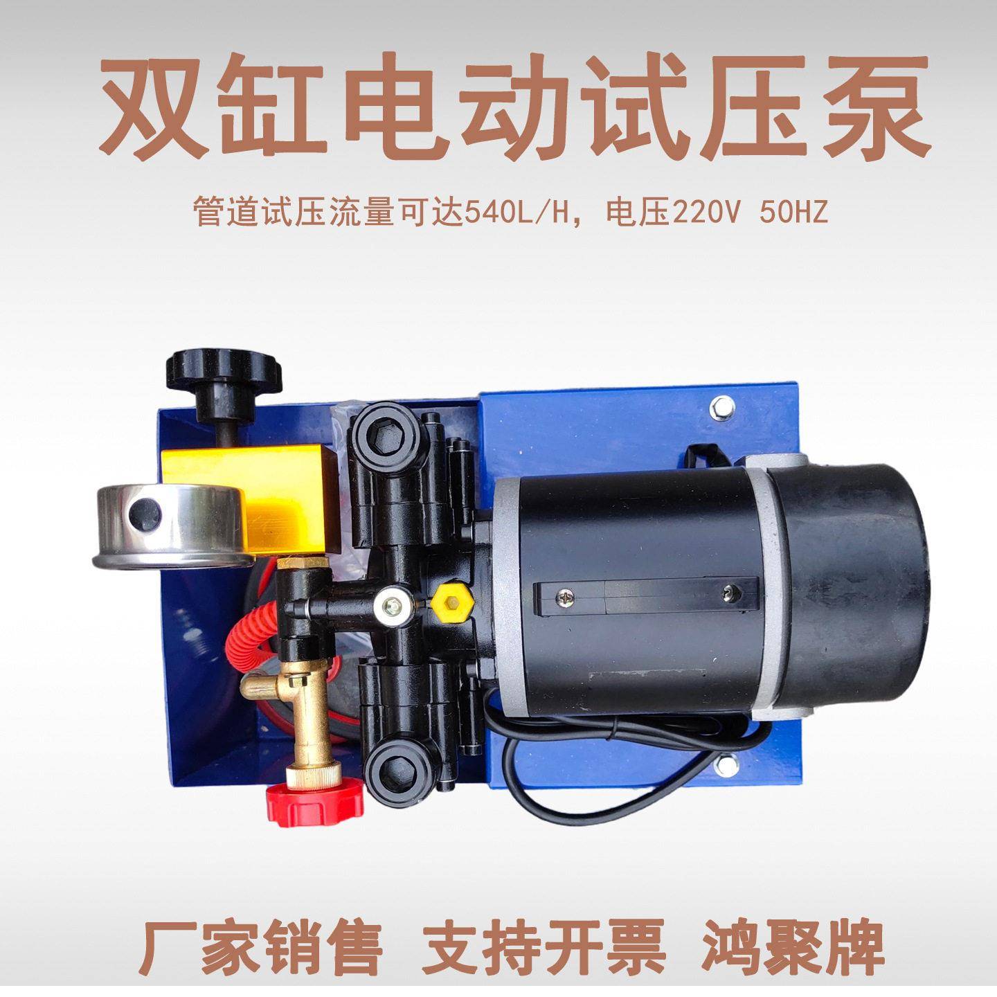 手提式电动试压泵DSY-25/50纯铜打压机水管道试压机双缸打压泵