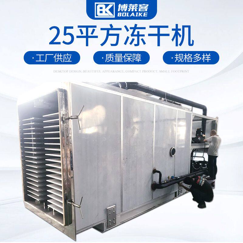 25平方冻干机海鲜药材冻干机设备中型花卉果蔬草莓真空冷冻干燥机