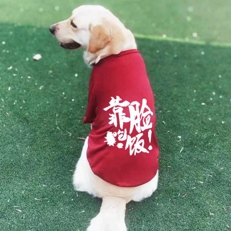 狗狗衣服夏季背心大中型犬金毛