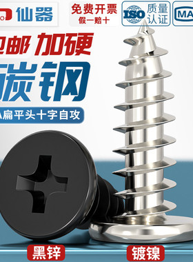 CA铁镀镍/黑色扁平头十字自攻螺丝钉大扁薄头子平头尖尾木自攻丝