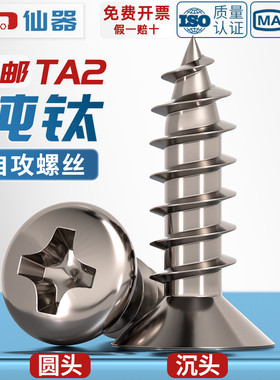 国标TA2纯钛盘头伞头沉头大扁头平头圆头十字自攻螺丝钉M3M4M5mm