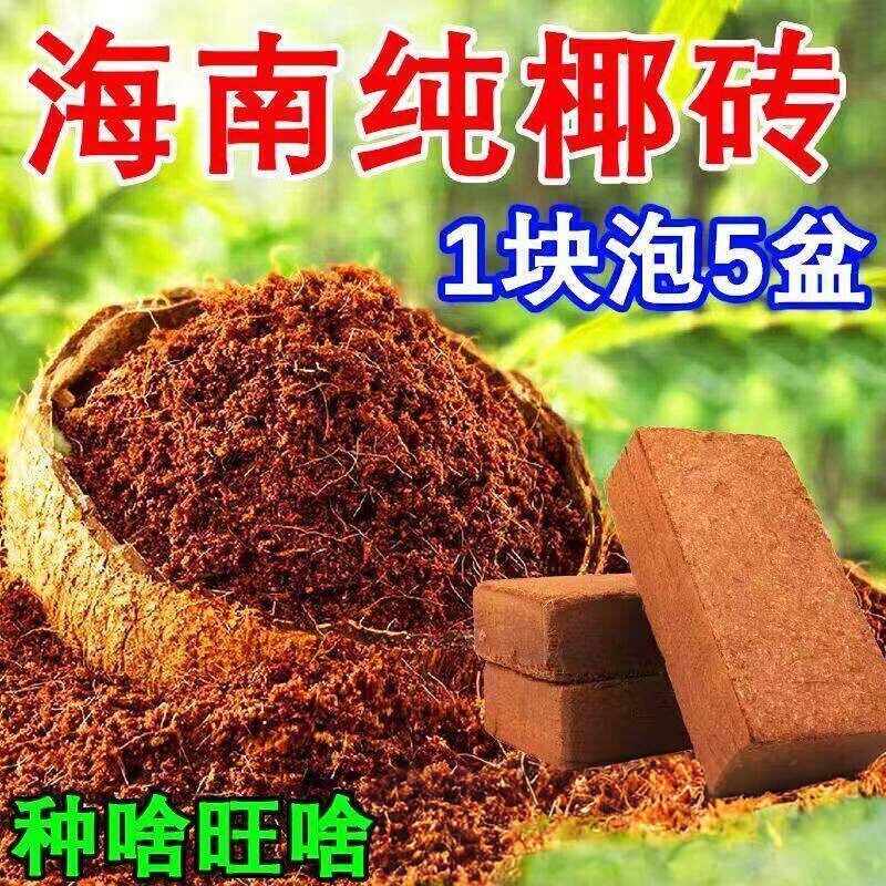 椰砖营养土养花种菜通用型椰土壤椰糠种花土多肉育苗种植土耶砖土