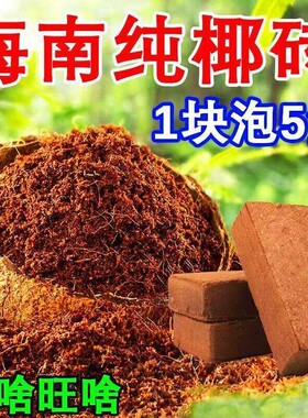椰砖营养土养花种菜通用型椰土壤椰糠种花土多肉育苗种植土耶砖土