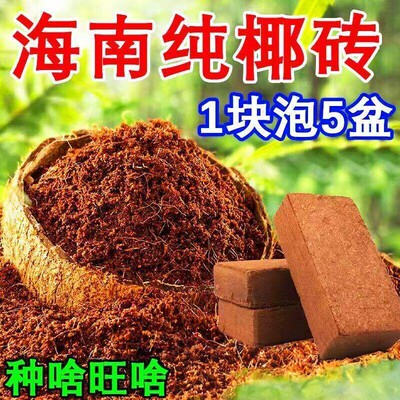椰砖营养土养花种菜通用型