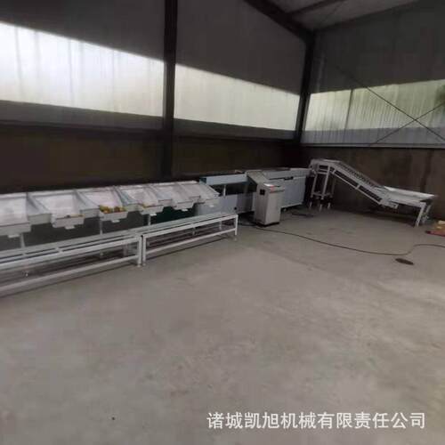 芒果柠檬全自动智能选果机 百香果克重分选机 小型水果筛选机