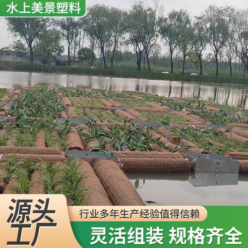 生态浮床水上植物种植浮排生态浮岛河道治理修复浮板可定制浮排