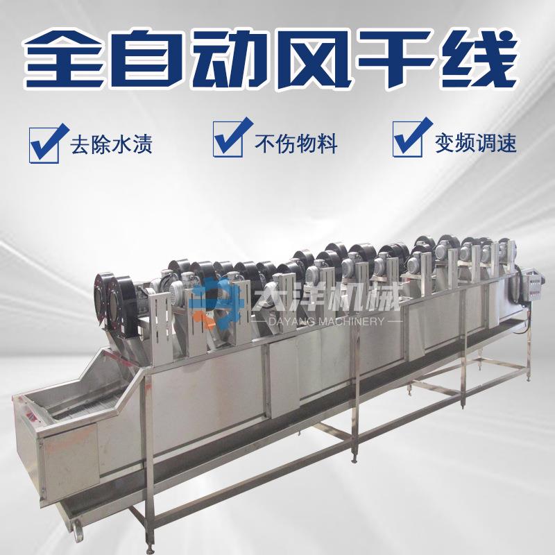 供应野菜风干线全自动果蔬吹干流水线新型豆角吹干设备风冷机