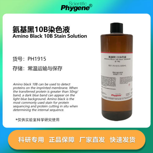 蛋白质检测氨基黑10B染色液