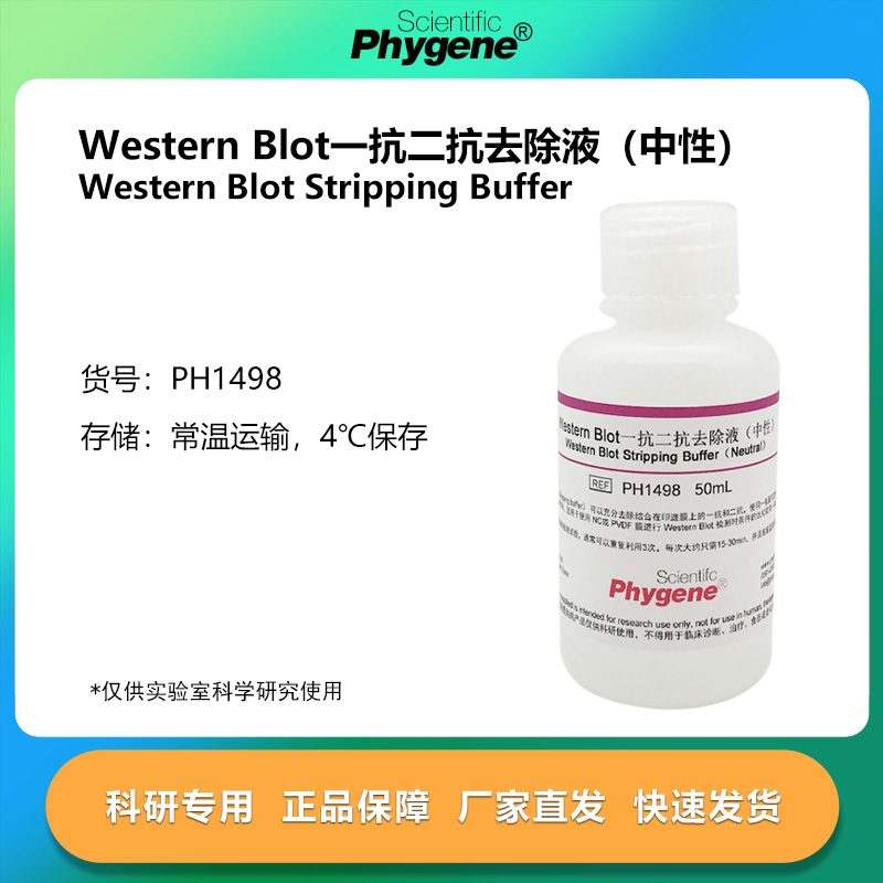 一抗二抗去除液洗涤液洗脱液（中性） 250mL [PH1498 PHYGENE]