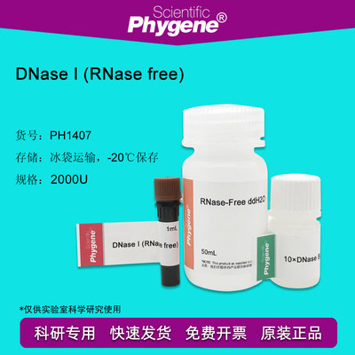 脱氧核糖核酸酶I DNase I-RNase free 2000U PH1407 PHYGENE