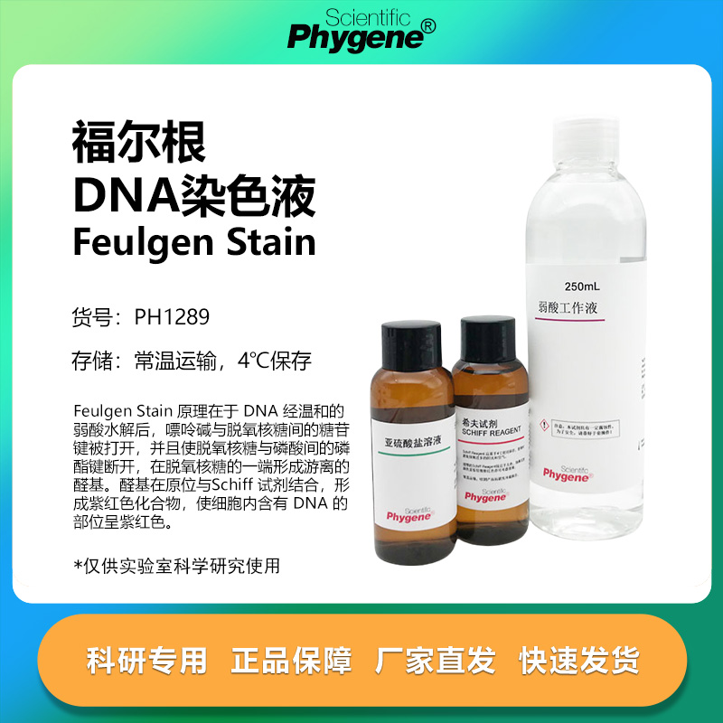 孚尔根染色液福尔根DNA染色液
