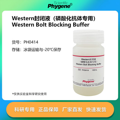 Western封闭液 磷酸化抗体专用 100mL Blocking Buffer PHYGENE