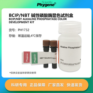 BCIP/NBT碱性磷酸酶显色试剂盒 100mL 科研实验 [PH1732 PHYGENE]