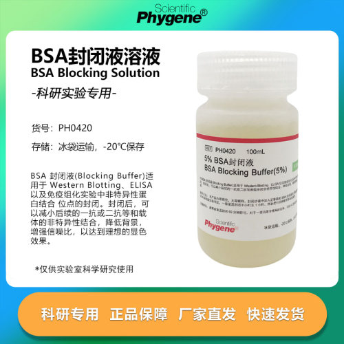 5%BSA封闭液 BSA Blocking Buffer 无菌 100mL [PH0420 PHYGENE]