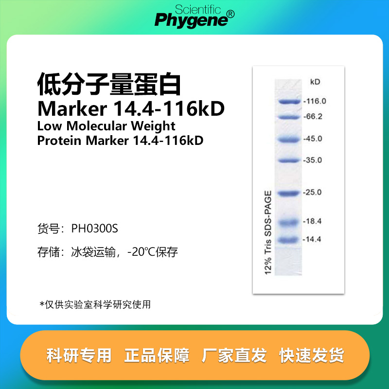 低分子量蛋白质14.4-116kD