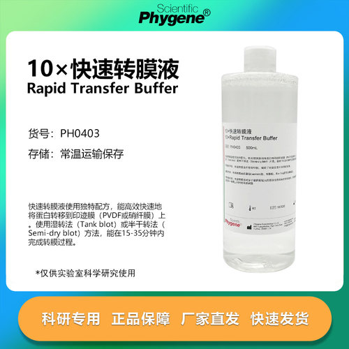 10×快速转膜液科研专用