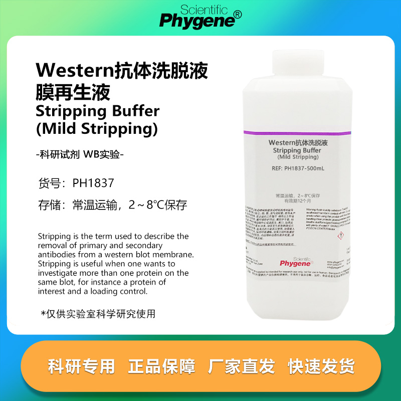 Western抗体洗脱液洗膜液