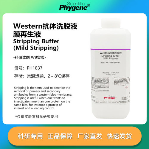 Western抗体洗脱液洗膜液