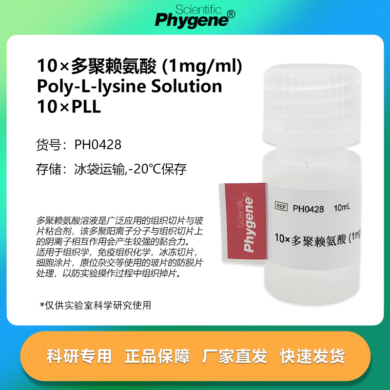 10×多聚赖氨酸1mg/mL