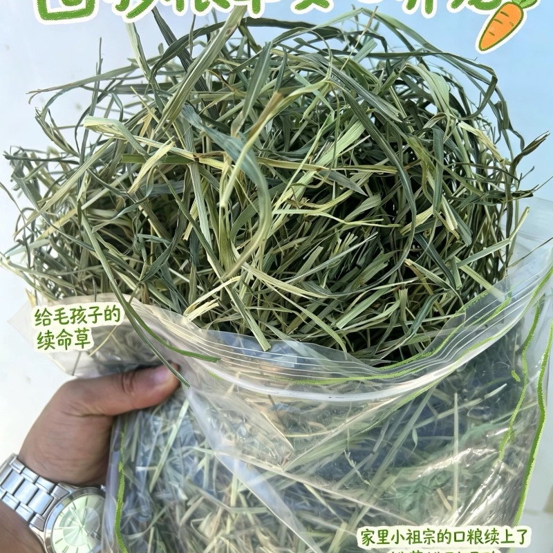 2026头茬新草晒干提摩西草兔兔干草主粮荷兰猪龙猫晒干提草