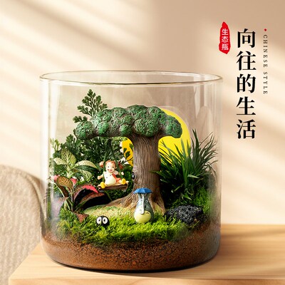苔藓微景观工位桌面趣味治愈解压植D物小摆件生态造景室内好养送