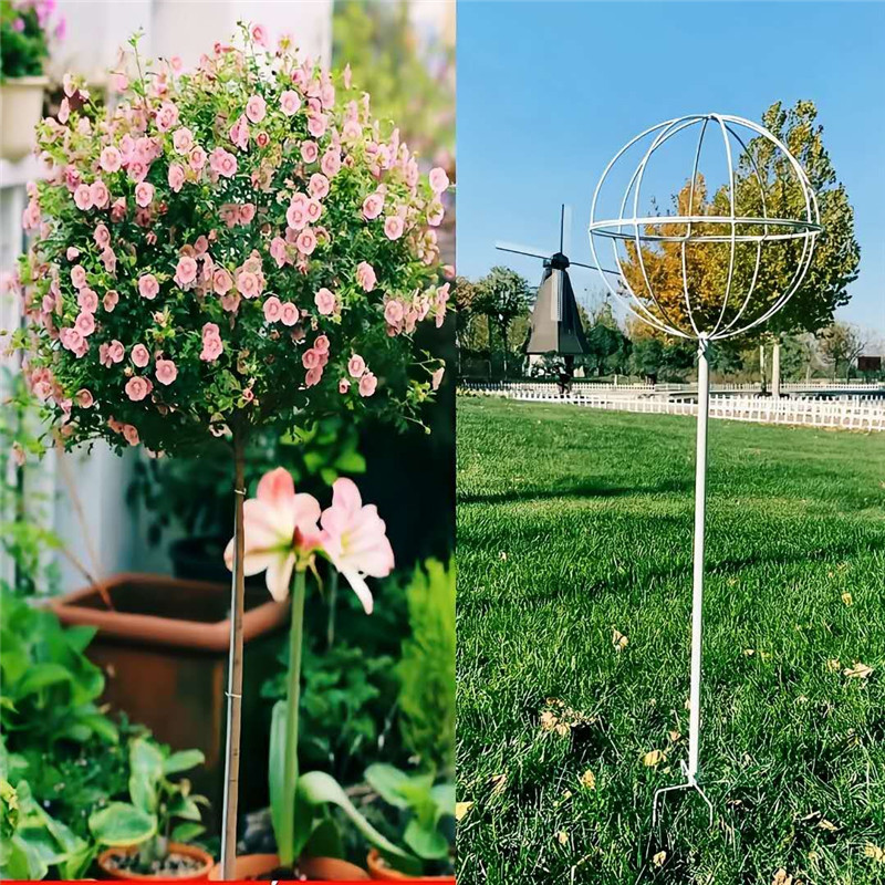铁线莲风车茉莉月季棒棒t糖支架铁艺球形花园花架爬藤架子攀爬架