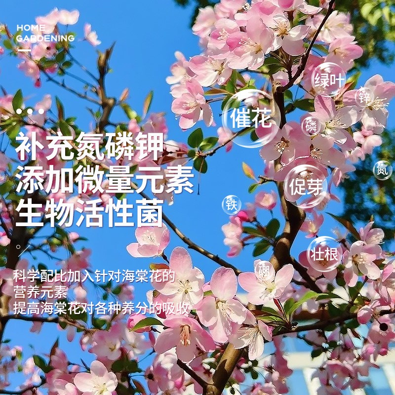 海棠花营养d液专用肥四季海棠树专治干枯叶急救花肥阳台盆栽通用
