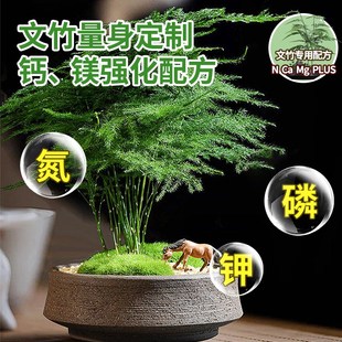 文竹营养液d治黄叶花肥云竹专用肥料云松水培盆栽免稀释液体肥养