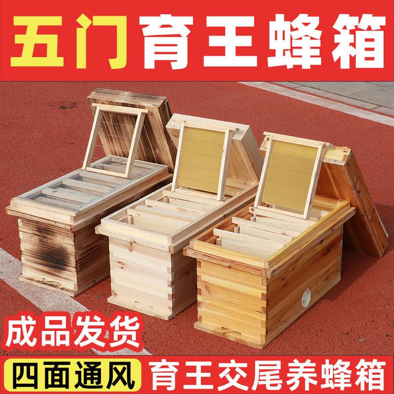 五门育王交尾蜂箱杉木土养蜂箱四面巢门成品烘干蜂箱49cm