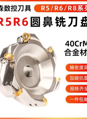 EMR/TRS圆鼻刀盘/面铣刀盘数控刀柄bt40铣刀盘R5刀盘R6飞刀盘刀柄