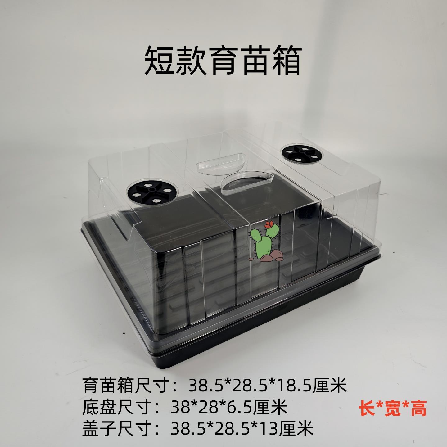 加高育苗盒扦插出芽带盖子多肉闷养保温播种盘保湿育苗盘箱
