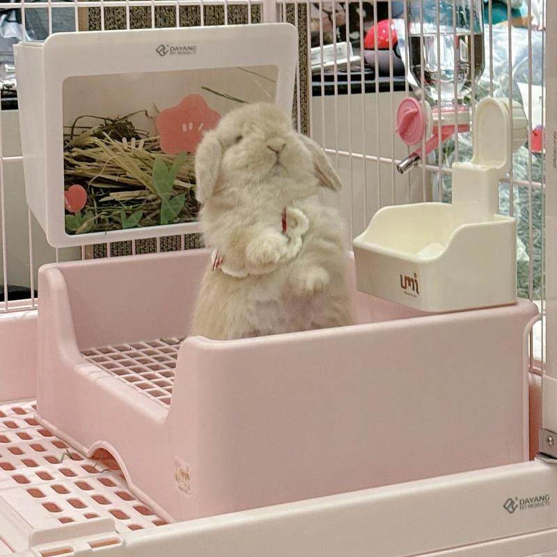 兔子厕所大号防掀翻防喷尿分体式双层宠物便盆荷兰猪豚鼠固定屎盆,宠物/宠物食品及用品,兔兔厕所,淘宝优惠券,粉丝福利购,淘宝优惠卷