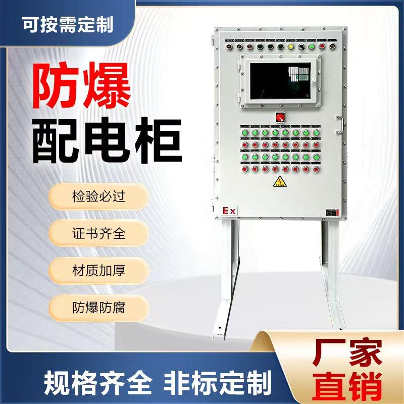 防爆接线照明动力检修控制箱插座仪表触摸屏变频器碳钢配电柜定制
