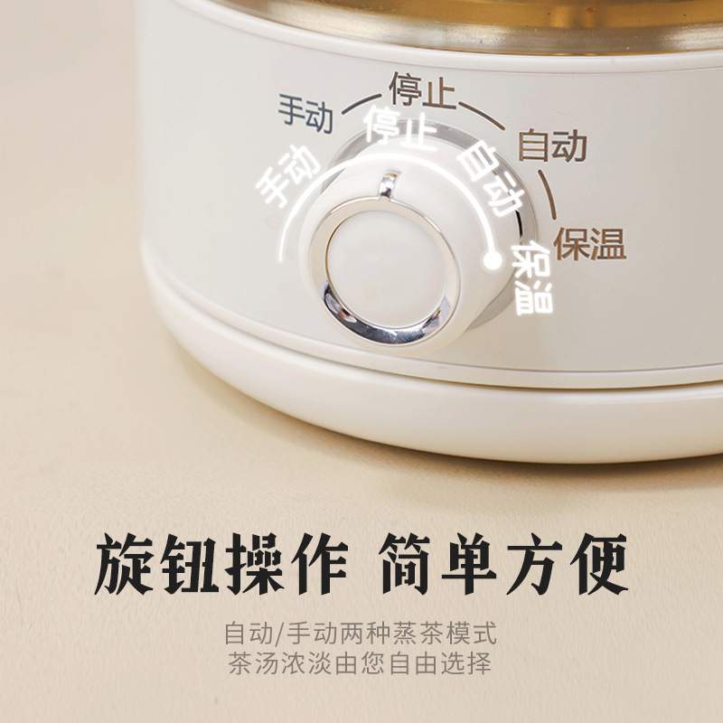 德国RANBEM瑞本煮茶器电热水壶家用养生壶杯保温全自动小型烧水壶