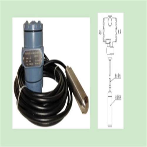 北京投入式压力水位计型号:LS100-YP-P10库号：M39139