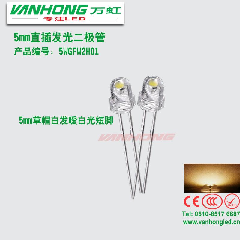 草帽暖白光草帽暖白f5草帽灯珠LED直插发光二极管5mmled白光