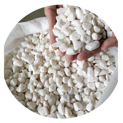 直销新款直供白色石子石头庭院铺路铺地小白石头园林枯山水白石子