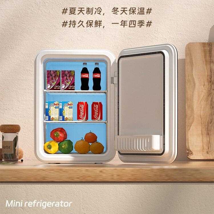 新款直销车载冰箱车家两用小型迷你宿舍冷藏箱美妆镜面小冰箱跨境