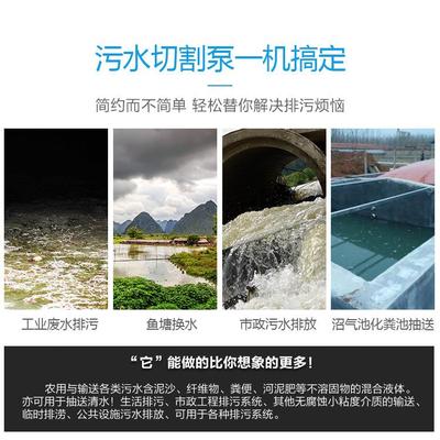 直销新款上海750WQD小型家用单相潜污水泵2寸污物潜水排污泵电泵2
