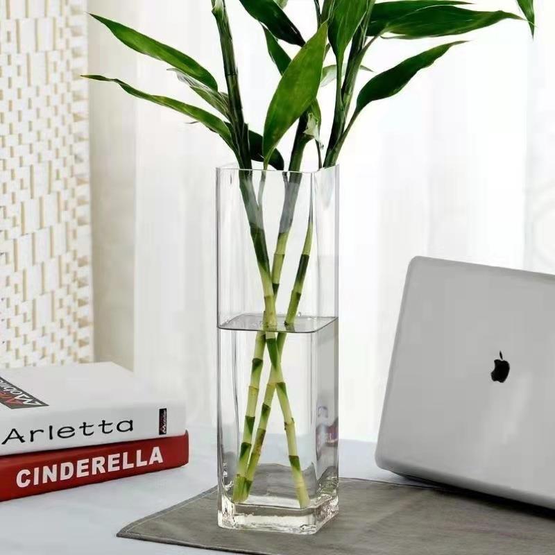 直销新款方型透明玻璃大花瓶简约现代平光方缸水培植物百合富贵竹